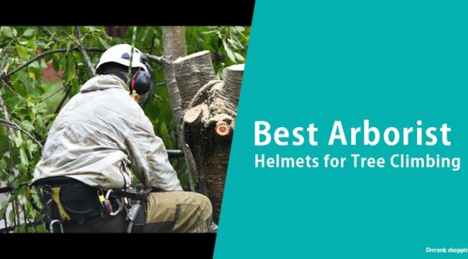 Best Arborist Helmets for Tree Climbing