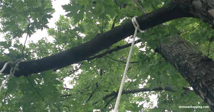 How to Hang a Climbing Rope from a Tree
