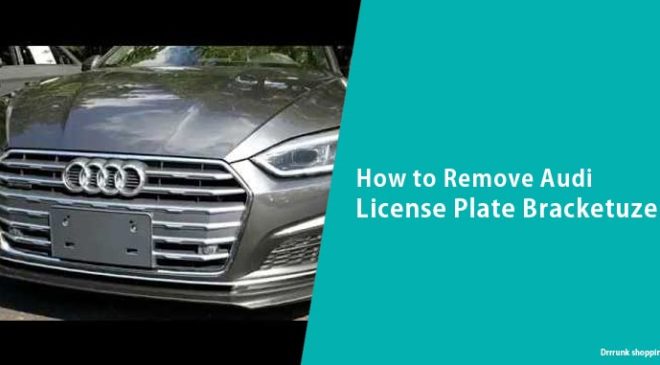 How to Remove Audi License Plate Bracket
